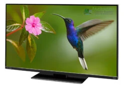 Avtex M219DRS PRO 12v LED TV Freeview HD DVD SAT HD REC Caravan Motorhome TV 12 Avtex M219DRS PRO 12v LED TV Freeview HD DVD SAT HD REC Caravan Motorhome TV -Equip Van Store Avtex L219DRs PRO 04231.1660206963